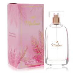 Hollister Malaia Perfume