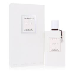 Oud Blanc Van Cleef & Arpels Perfume