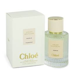 Chloe Cedrus Perfume