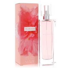 Banana Republic Wildbloom Perfume