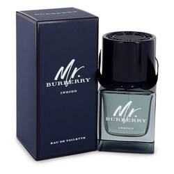Mr Burberry Indigo Cologne